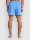 Quiksilver Everyday Flex Volley 15 Shorts