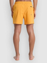 Quiksilver Everyday Flex Volley 15 Kratasy