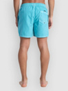 Quiksilver Everyday Surfwash Volley 15 Boardshorts