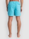 Quiksilver Everyday Surfwash Volley 15 Boardshorts