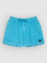 Quiksilver Everyday Surfwash Volley 15 Boardshorts