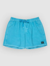 Quiksilver Everyday Surfwash Volley 15 Boardshorts
