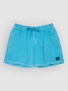 Quiksilver Everyday Surfwash Volley 15 Boardshorts