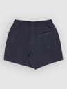 Quiksilver Everyday Surfwash Volley 15 Boardshorts