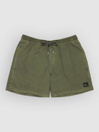 Quiksilver Everyday Surfwash Volley 15 Boardshorts