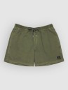 Quiksilver Everyday Surfwash Volley 15 Boardshorts