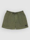 Quiksilver Everyday Surfwash Volley 15 Boardshorts
