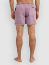 Quiksilver Everyday Surfwash Volley 15 Boardshorts