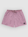 Quiksilver Everyday Surfwash Volley 15 Boardshorts