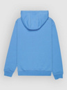 Quiksilver Comp Logo Kids Hoodie