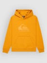 Quiksilver Comp Logo Kids Hoodie