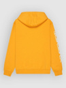 Quiksilver Omni Logo Kids Hoodie
