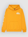 Quiksilver Omni Logo Kids Hoodie
