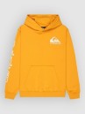 Quiksilver Omni Logo Kids Hoodie