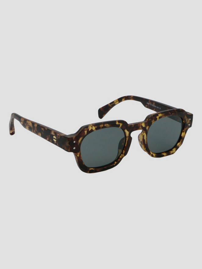 Solful Sal Tortoise Lunettes de soleil