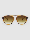 Solful Aristol Brown Sunglasses