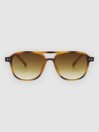 Solful Aristol Brown Sunglasses