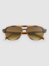 Solful Aristol Brown Sunglasses