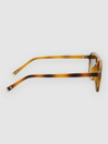 Solful Aristol Brown Lunettes de soleil