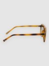 Solful Aristol Brown Sunglasses
