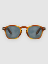 Solful Twilight Matte Tortoise Sunglasses