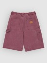 Element Big Carpenter Canvas Kids Shorts