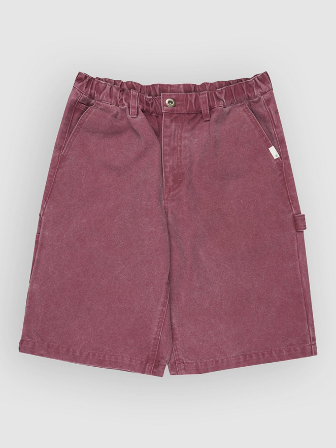 Element Big Carpenter Canvas Kids Shorts