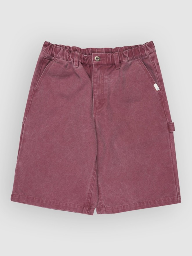 Element Big Carpenter Canvas Kids Shorts