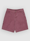 Element Big Carpenter Canvas Shorts