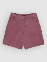 Element Big Carpenter Canvas Shorts