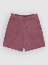 Element Big Carpenter Canvas Shorts