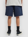 Element Regular Ewaist Kids Shorts