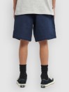 Element Regular Ewaist Kids Shorts
