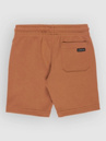 Quiksilver Easy Day Jogger Kids Shorts