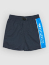 Quiksilver Everyday Clicker Volley 15 Kids Boardshorts
