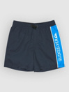 Quiksilver Everyday Clicker Volley 15 Kids Boardshorts