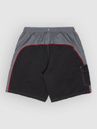 Quiksilver Everyday Dialer Volley 20 Boardshorts