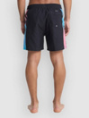 Quiksilver Everyday Holmes Volley 16 Boardshorts