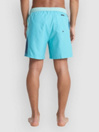 Quiksilver Everyday Holmes Volley 16 Boardshorts
