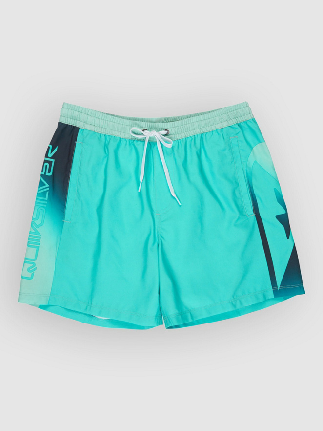 Quiksilver Everyday Holmes Volley 16 Boardshorts
