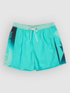 Quiksilver Everyday Holmes Volley 16 Boardshorts