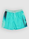 Quiksilver Everyday Holmes Volley 16 Boardshorts