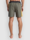 Quiksilver Everyday Holmes Volley 16 Boardshorts