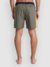 Quiksilver Everyday Holmes Volley 16 Boardshorts