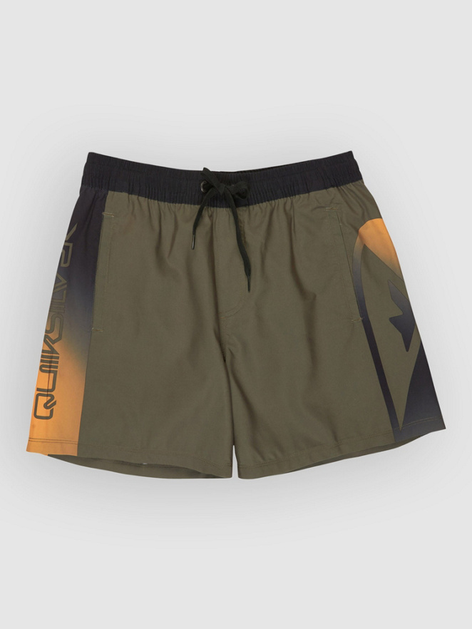 Quiksilver Everyday Holmes Volley 16 Boardshorts