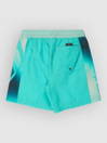 Quiksilver Everyday Holmes Volley 16 Kids Boardshorts