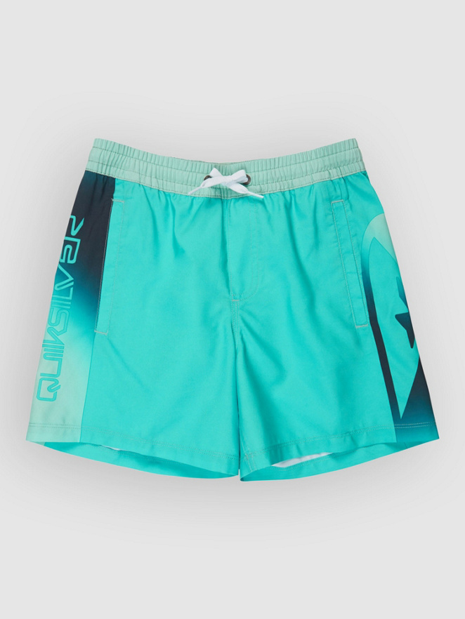 Quiksilver Everyday Holmes Volley 16 Kids Boardshorts
