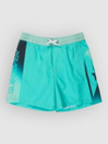 Quiksilver Everyday Holmes Volley 16 Kids Boardshorts