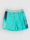Quiksilver Everyday Holmes Volley 16 Kids Boardshorts