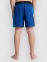 Quiksilver Everyday Holmes Volley 16 Kids Boardshorts